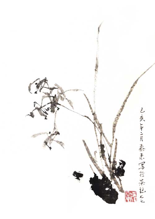 Orchidee orchid 兰花 Kunstdrucke Reproduktion Tuschmalerei Sumi-e Tuschzeichnung Tuschgemälde Tuschemalerei