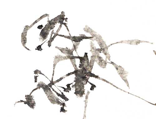 Orchidee orchid 兰花 Kunstdrucke Reproduktion Tuschmalerei Sumi-e Tuschzeichnung Tuschgemälde Tuschemalerei