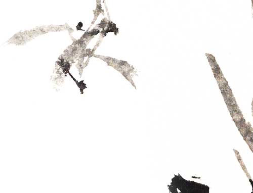 Orchidee orchid 兰花 Kunstdrucke Reproduktion Tuschmalerei Sumi-e Tuschzeichnung Tuschgemälde Tuschemalerei