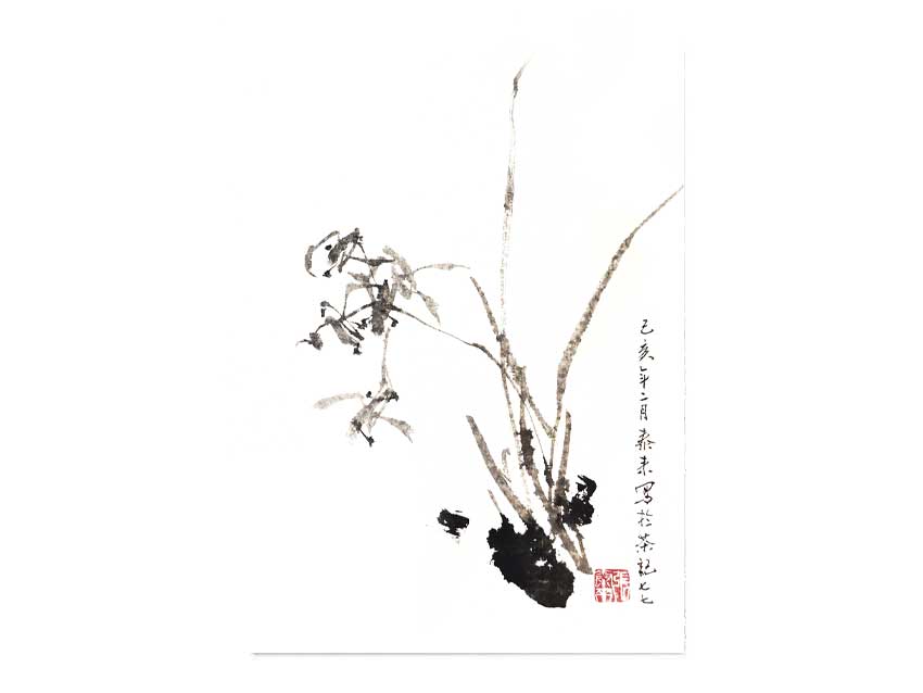 Orchidee orchid 兰花 Kunstdrucke Reproduktion Tuschmalerei Sumi-e Tuschzeichnung Tuschgemälde Tuschemalerei