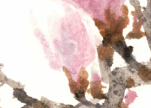 Magnolie magnolia 玉兰花 Kunstdrucke Reproduktion Tuschmalerei Sumi-e Tuschzeichnung Tuschgemälde Tuschemalerei