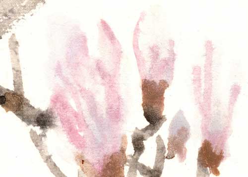 Magnolie magnolia 玉兰花 Kunstdrucke Reproduktion Tuschmalerei Sumi-e Tuschzeichnung Tuschgemälde Tuschemalerei