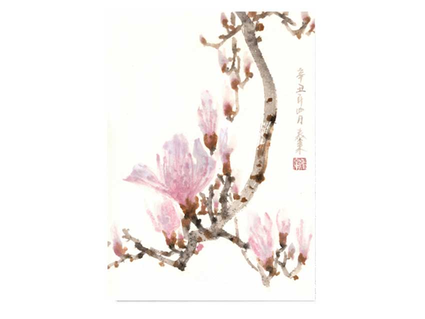 Magnolie magnolia 玉兰花 Kunstdrucke Reproduktion Tuschmalerei Sumi-e Tuschzeichnung Tuschgemälde Tuschemalerei