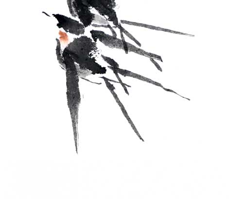 Schwalbe swallow Vogel bird 鸟 燕子Tuschmalerei Sumi-e Tuschzeichnung Tuschgemälde Tuschemalerei