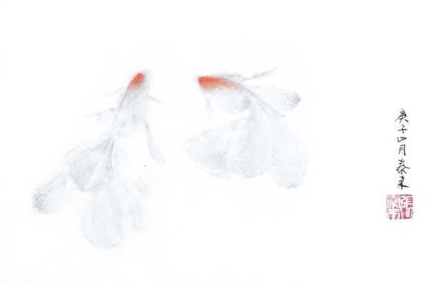 goldfish goldfish 金鱼 Tuschmalerei Sumi-e Tuschzeichnung Tuschgemälde Tuschemalerei