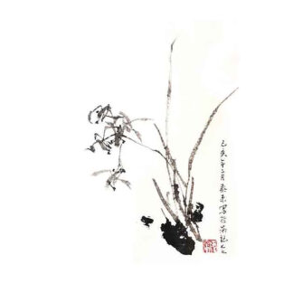 orchidee orchid 兰花 Kunstpostkarte der Tuschmalerei Sumi-e