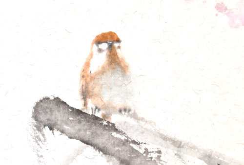 spatz sparrow Vogel bird 鸟 Tuschmalerei Sumi-e Tuschzeichnung Tuschgemälde Tuschemalerei