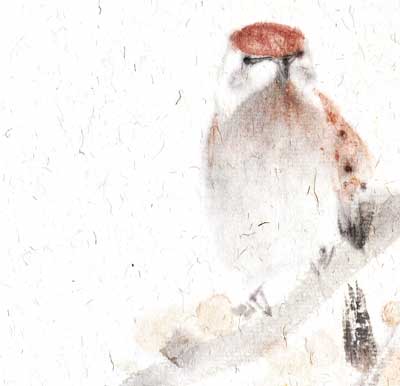 Spatz sparrow Vogel bird 鸟 Kunstdrucke Reproduktion Tuschmalerei Sumi-e Tuschzeichnung Tuschgemälde Tuschemalerei