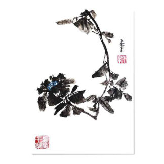 牡丹 peony Pfingstrose Kunstpostkarte der Tuschmalerei Sumi-e