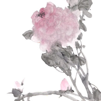 茶花 Kamelie camellia Kunstdrucke Reproduktion Tuschmalerei Sumi-e Tuschzeichnung Tuschgemälde Tuschemalerei