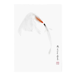 金鱼 goldfish Goldfisch Tier animal Kunstpostkarte postcard der Tuschzeichnung Tuschmalerei Sumi-e Tuschgemälde